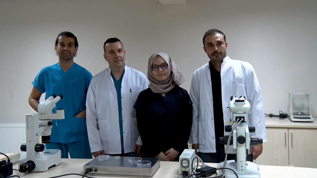 Embriyo transferi ile hayvancılıkta verim artışı sağlanacak